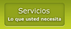 Servicios